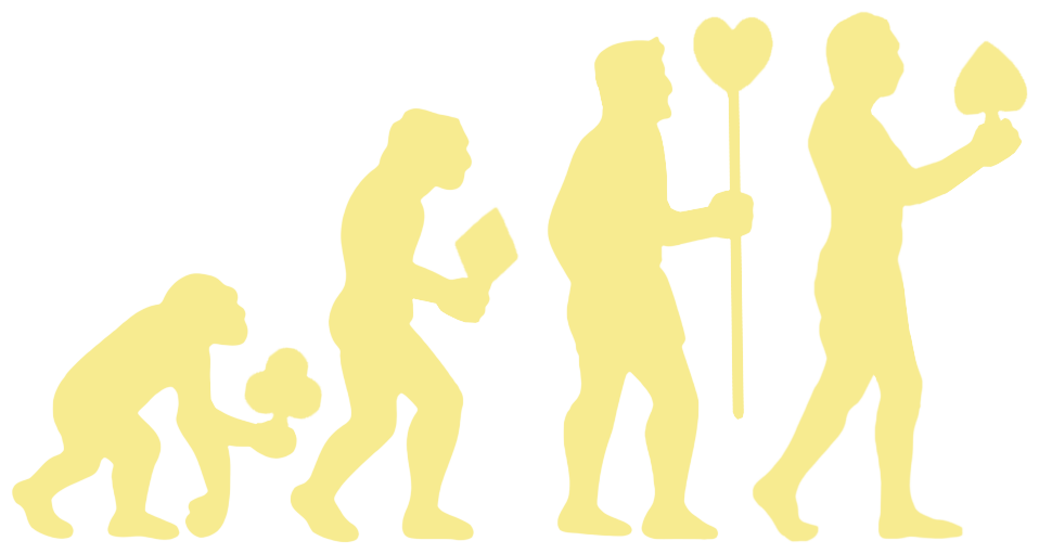 Sapiens & Co.